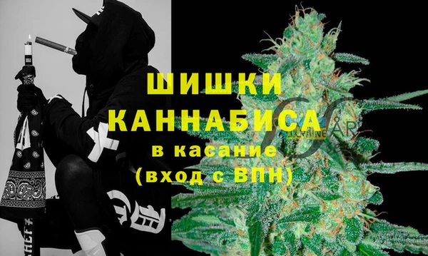 прущие крисы Алзамай