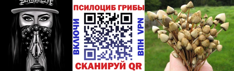 Галлюциногенные грибы прущие грибы  где продают наркотики  Арамиль 